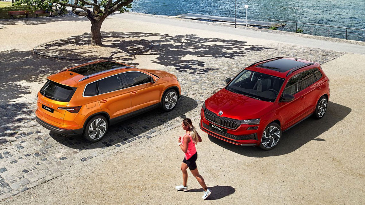 Skoda Karoq - Ảnh 7